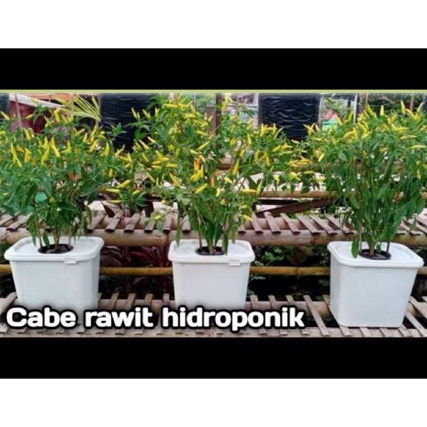 Cibo- Hidroponik Dutch Bucket Box Hidroponik 8L System Dutch Bucket