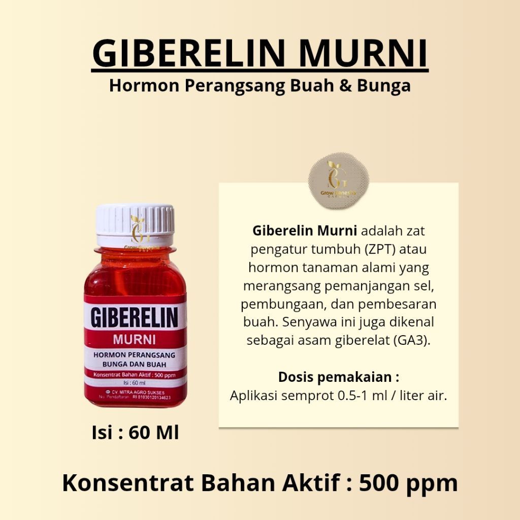 ZPT Giberelin 60 ml - Murni 500 ppm, Merangsang Pembungaan & Pembuahan Tanaman