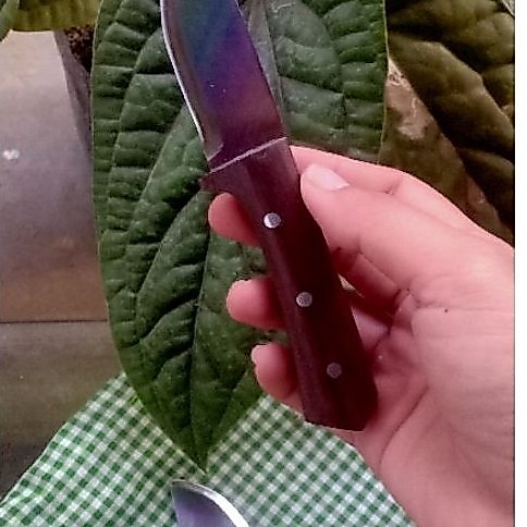 pisau mini HSS DMo5 super tajam
