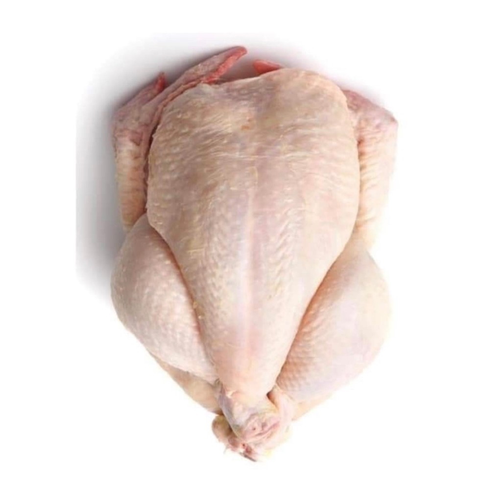 AYAM BROILER KARKAS BERSIH