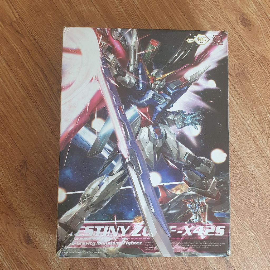 MG Destiny Gundam Dragon momoko