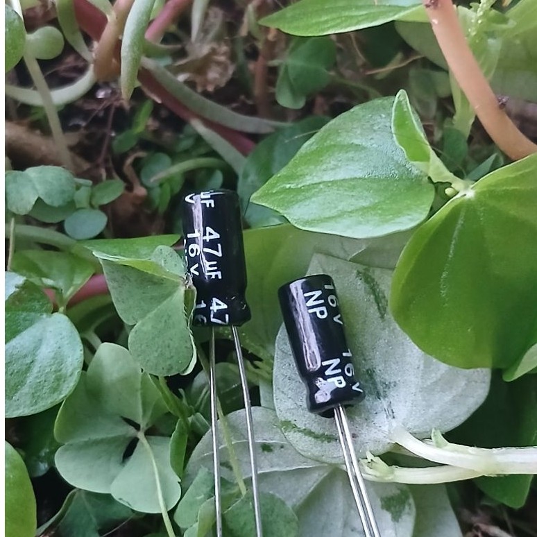 elco 47uf 16v NP nonpolar