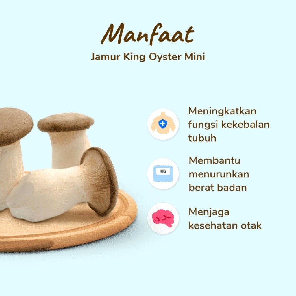 JAMUR KING OYSTER 200 GR FRESH