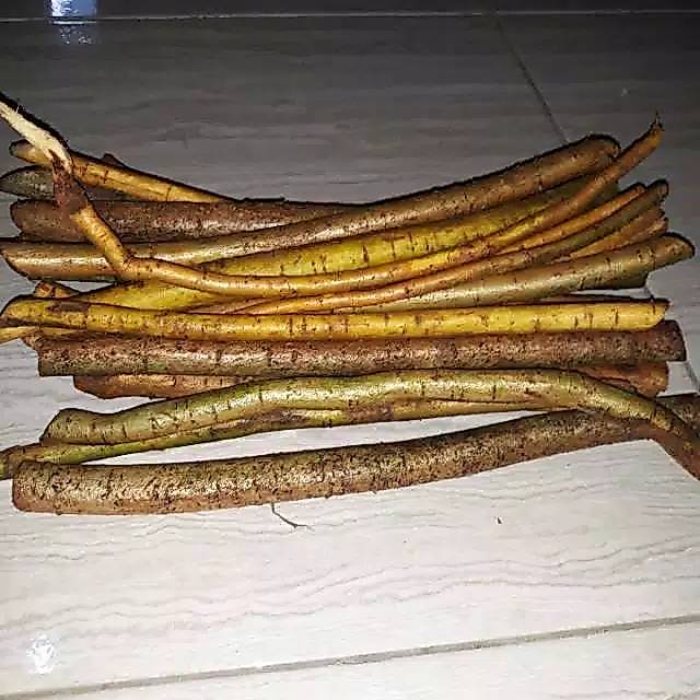 Akar Pohon Tuba - Akar Asli Tuba Bermanfaat 1000 Grm