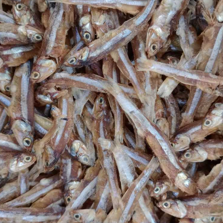 Ikan Teri Tawar kering | ikan teri kering