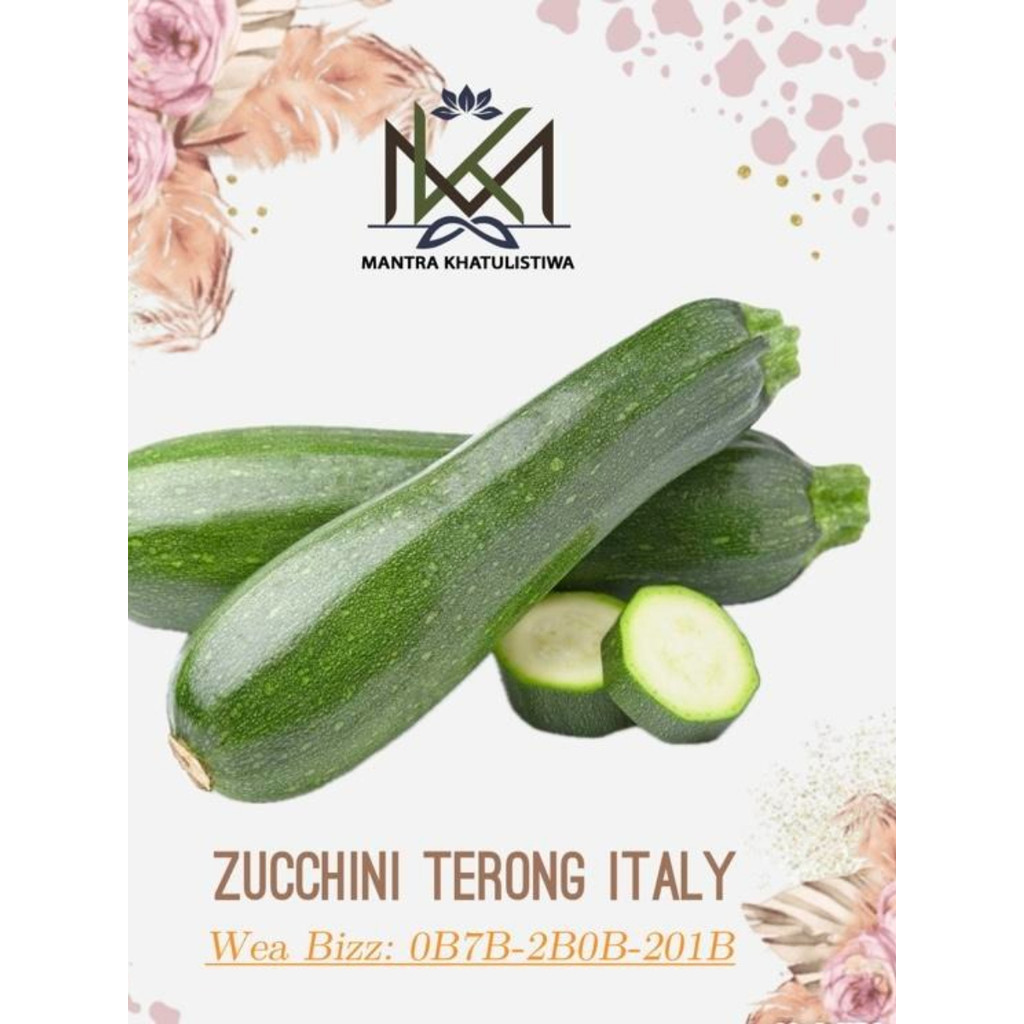 ZUKINI FRESH SAYUR ZUCCHINI TERONG ITALY SEGAR