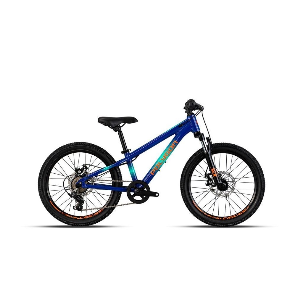 Sepeda Gunung Anak Polygon MTB 20 inch Cascade