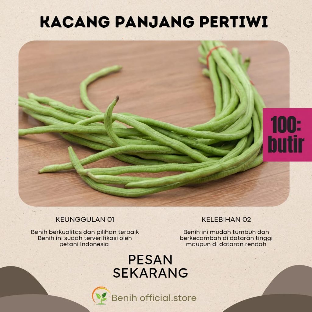 kacang panjang pertiwi