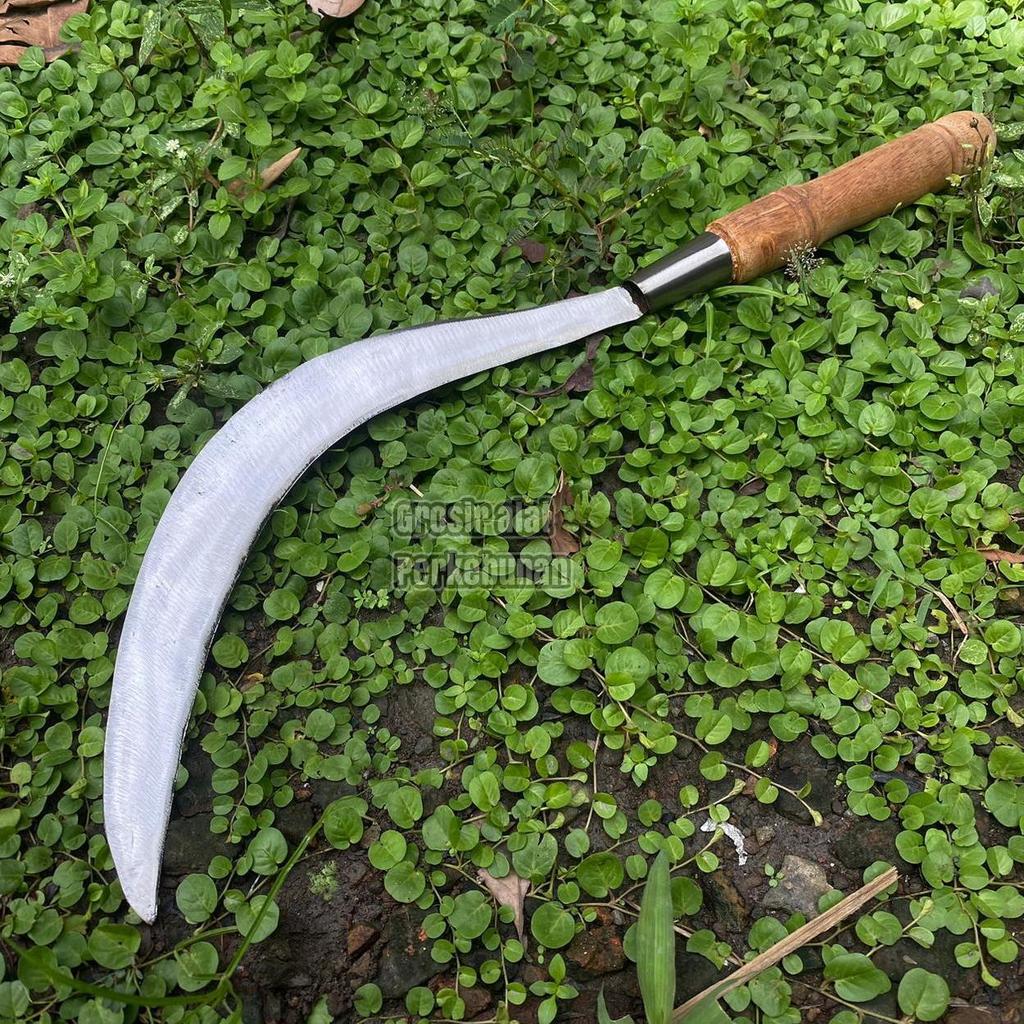 Arit Sabit Pengaritan Baja Per Asli - Arit Model Madura Super Tajam - Arit Panjang 48 cm Potong Rump