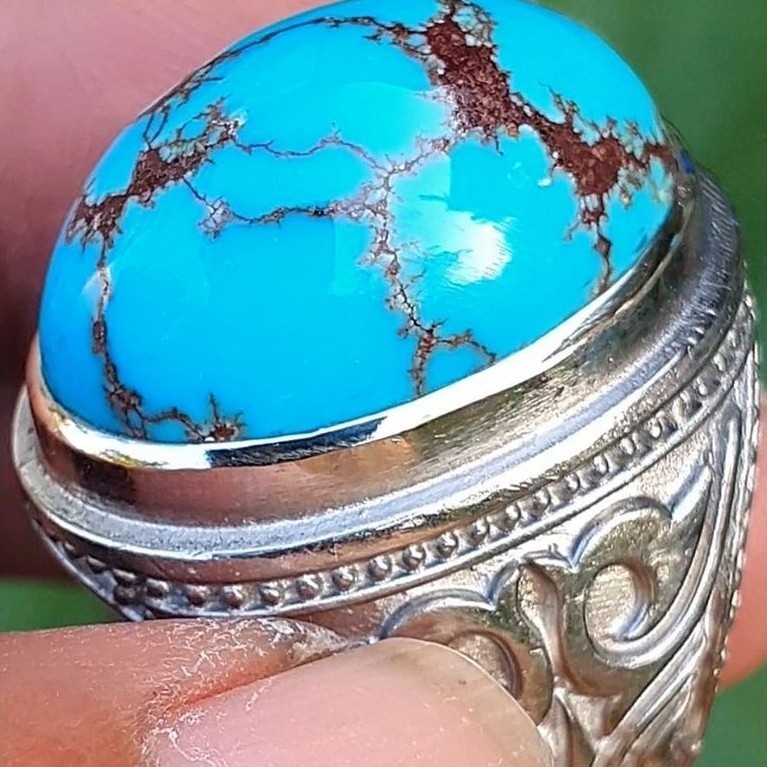 pirus mesir lawasan y76