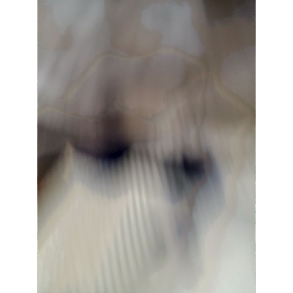 Insta360 X2