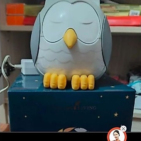 diffuser young living owl second