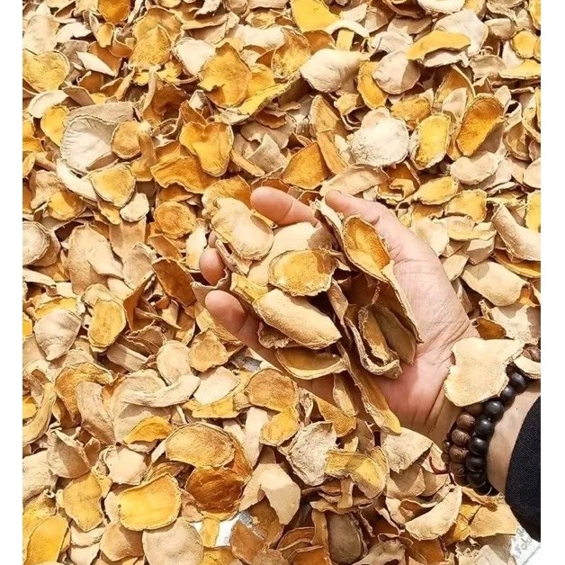 1 kg temulawak kering simplisia temulawak kering temulawak kuning kering sinar matahari