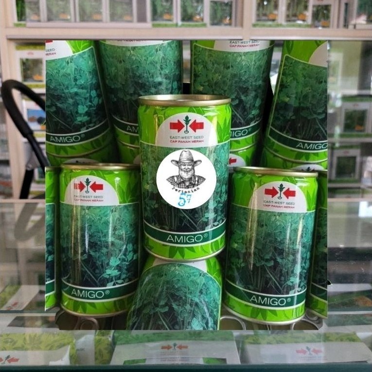 SELEDRI AMIGO 50 GRAM KALENG EXPYER 2028 [ setok Terbatas hanya 10 kaleng ]