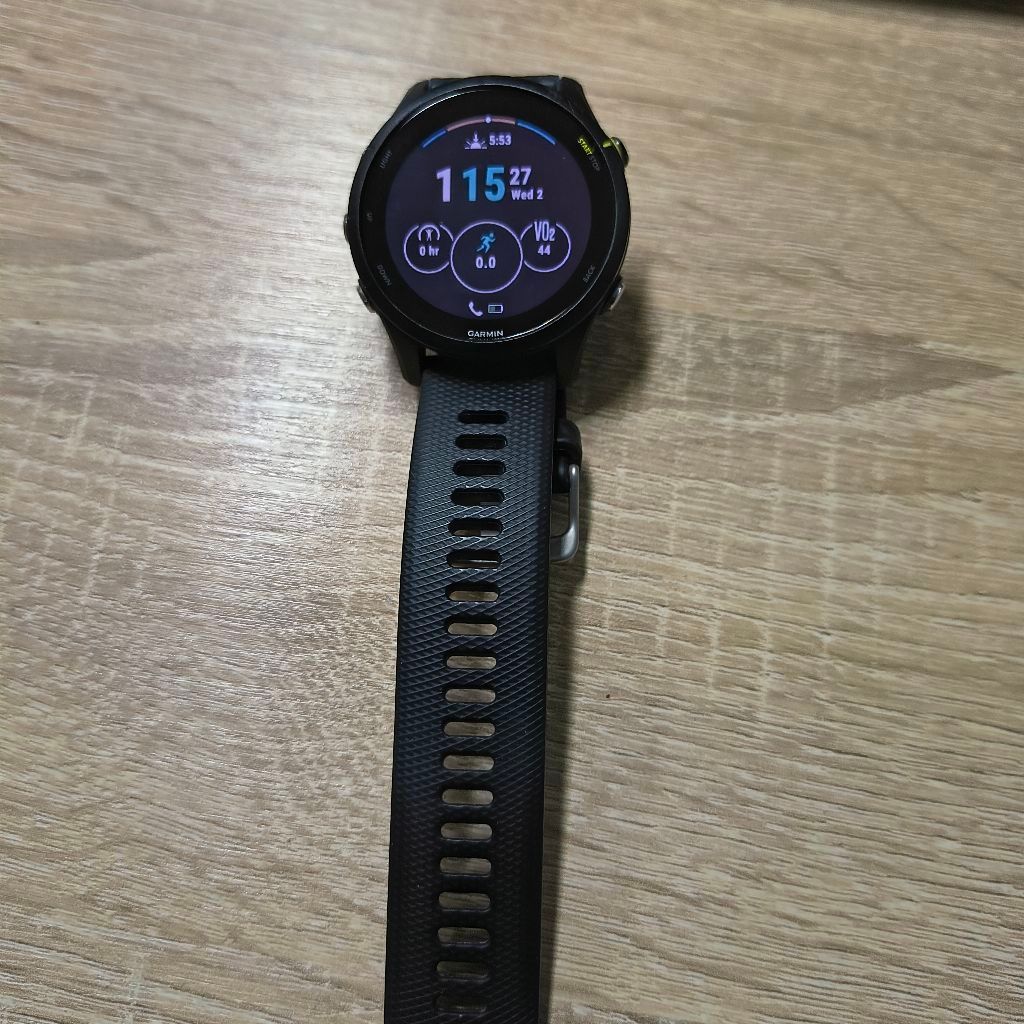 Garmin forerunner 255 music