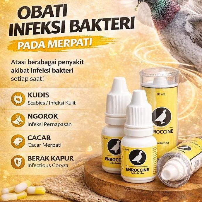 Gacorbanget- Enroccine Vitarest Obat Burung Merpati Berak Hijau Kapur Ngorok Snot