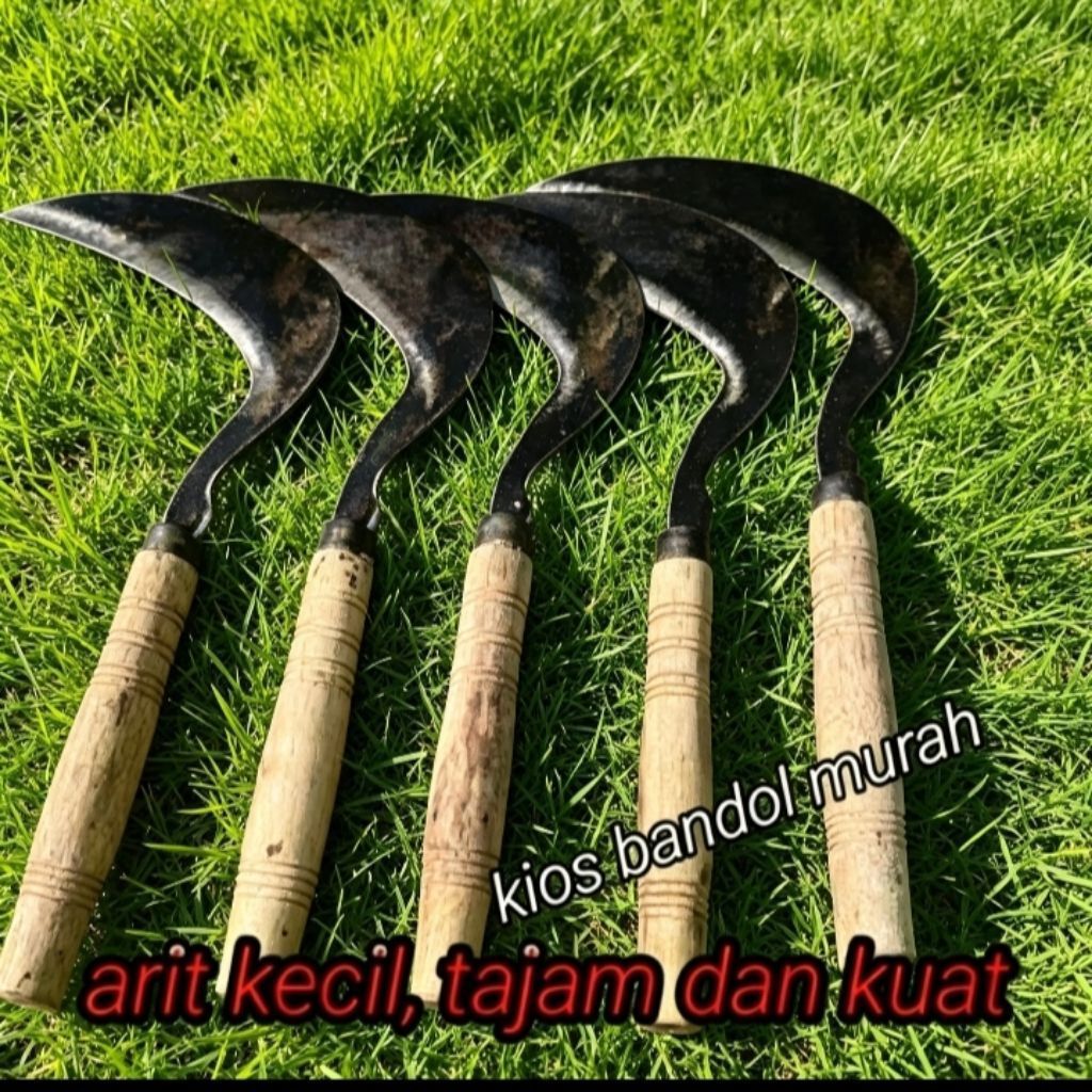 arit kecil untuk berkebun