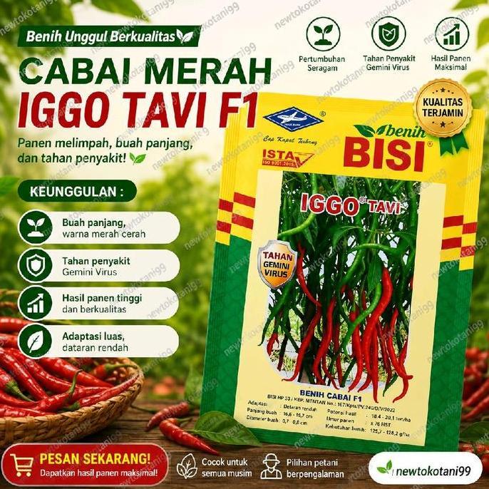 Benih Cabe Iggo Tavi 10 Gram Benih Cabe Keriting Hibrida Iggo Tavi Dari Bisi Cap Kapal Terbang 10Gra
