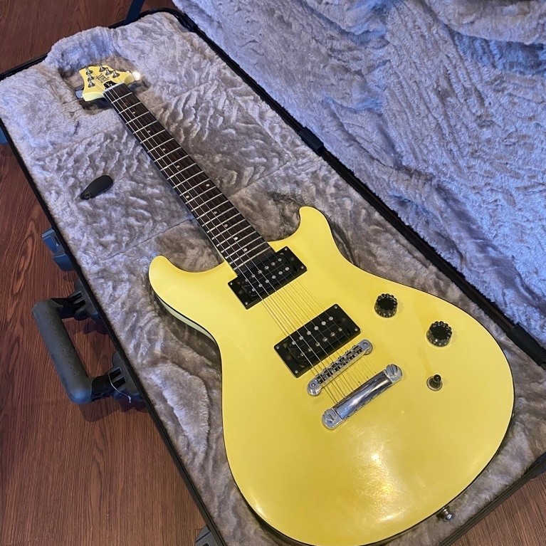 Gitar Elektrik Radix Deluxe Original
