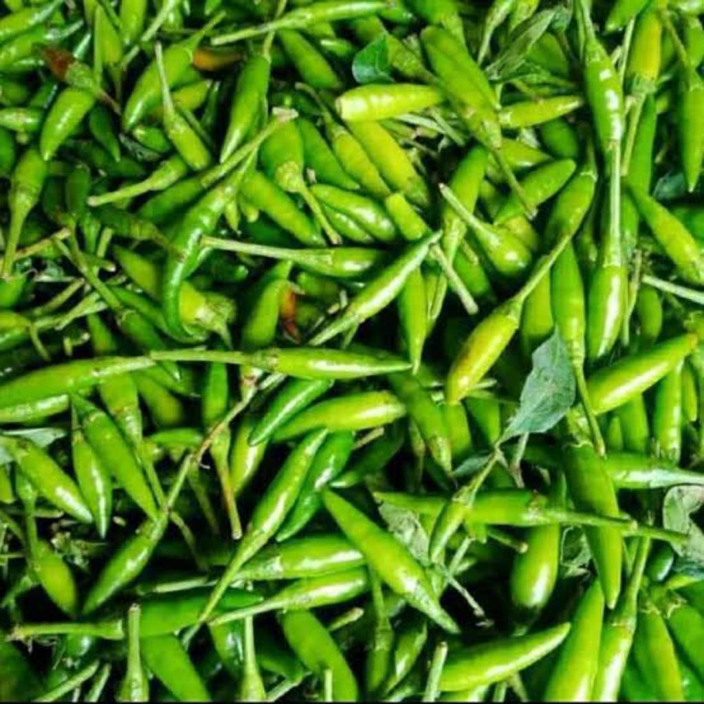 Cabe Rawit Hijau Segar dengan Kualitas Terbaik(RAWIT RUNCING)