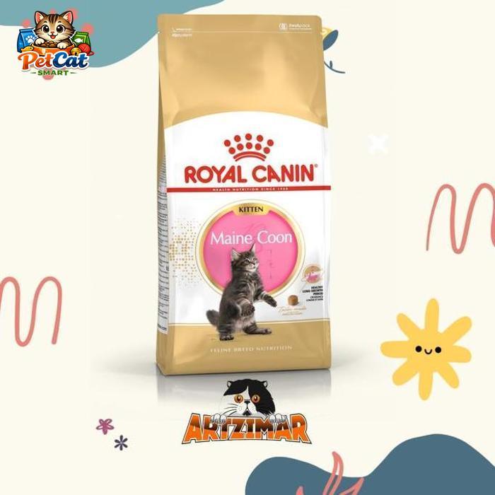 Mainecoon Kitten 400gr RC Kitten Mainecoon 400 gr
