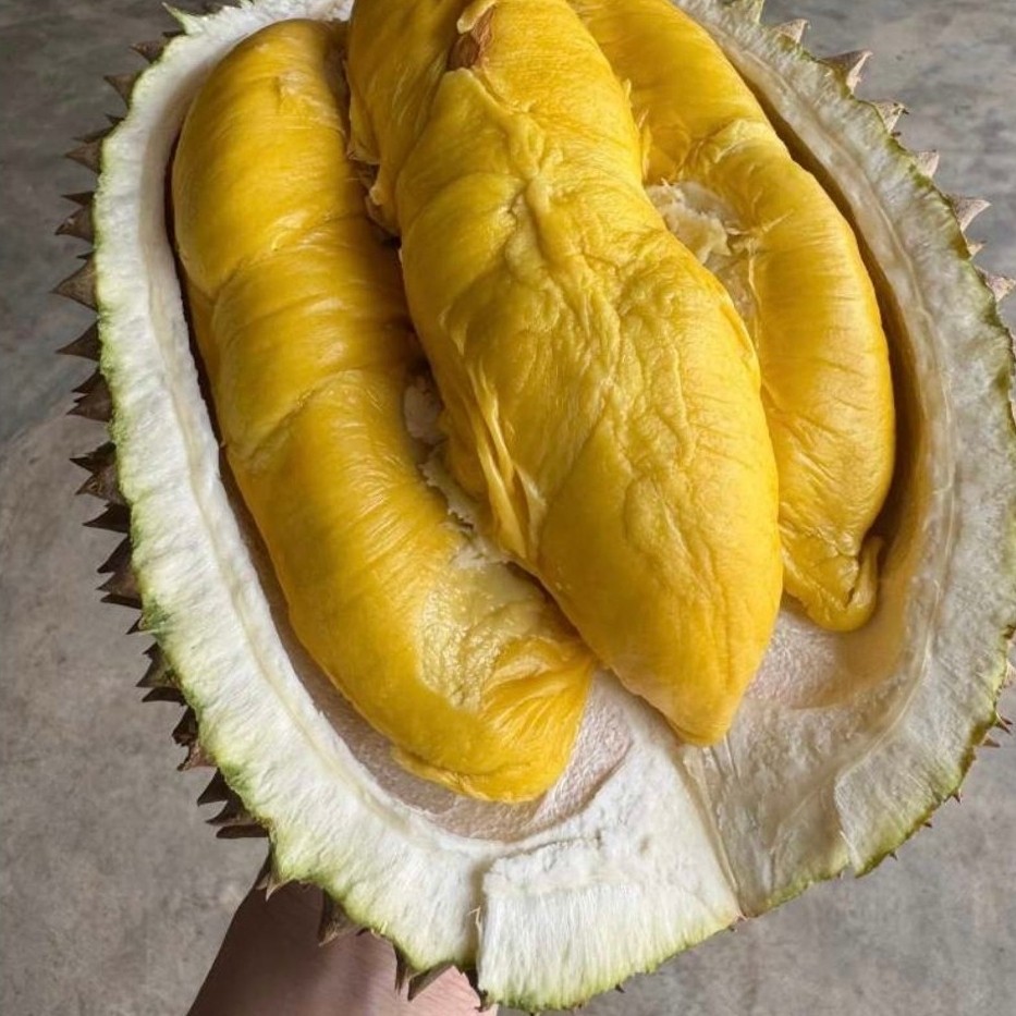 Durian Musangking Malaysia Bulat Utuh Frozen Nitro