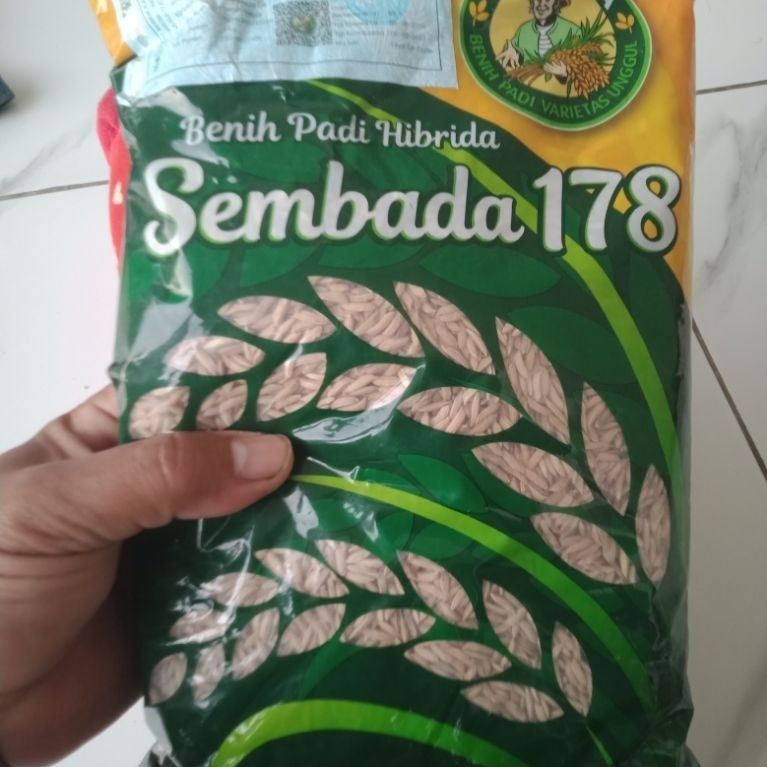 benih padi SEMBADA 178 terbaru