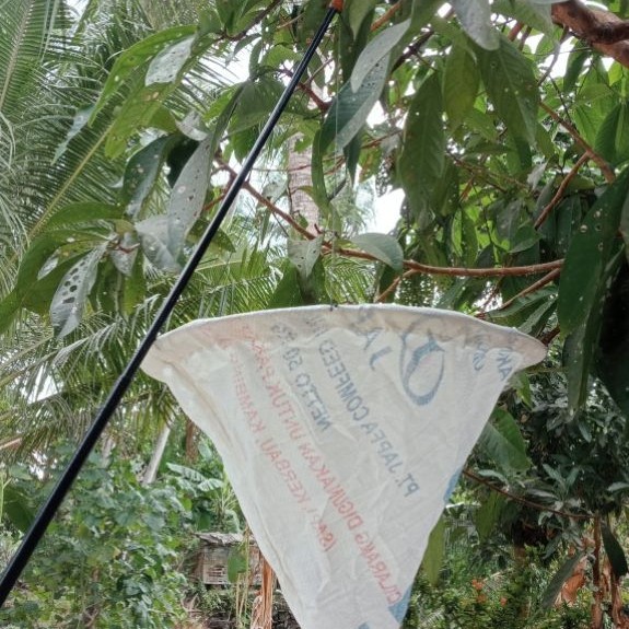 alat panen kroto/semut rangkang ,kukusan kroto