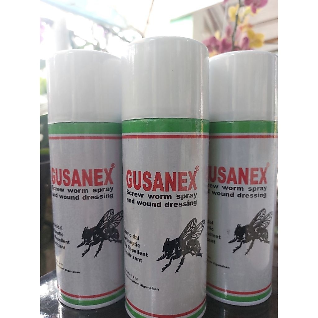 GUSANEX SPRAY OBAT LALAT SEMPROT UNTUK LUKA PADA SAPI KERBAU KAMBING