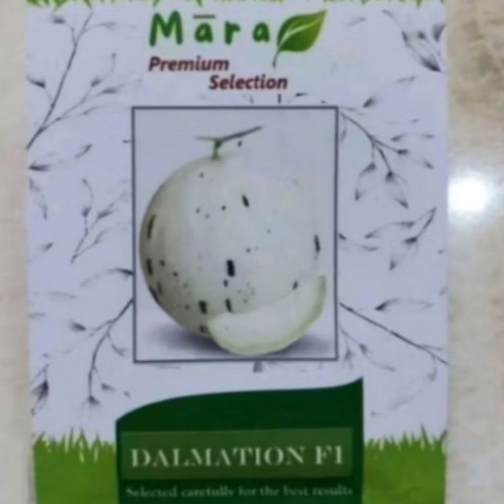 50 Seed Bibit Melon Dalmation F1 Original
