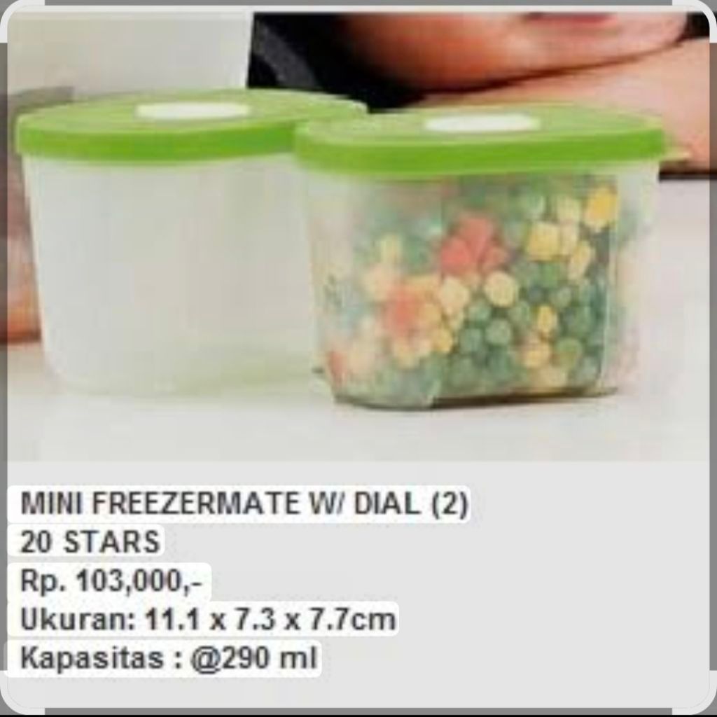 mini frezer ori new tupperware (1pc)