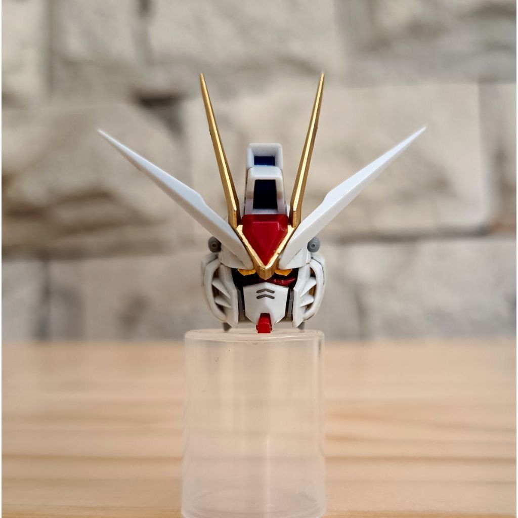 Head Kepala MG 1/100 Strike Freedom MB Daban