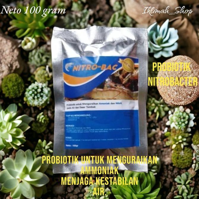 KAMISAHAN877 - PROBIOTIK NITROBACTER 100GRAM / NITROBACTER / PROBIOTIK NITROBACTER /