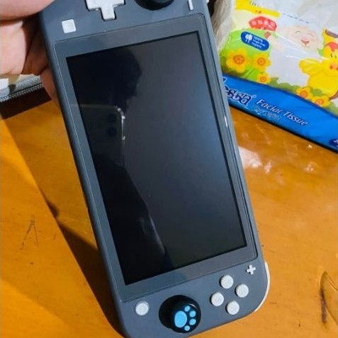 Nintendo switch lite cfw 256gb