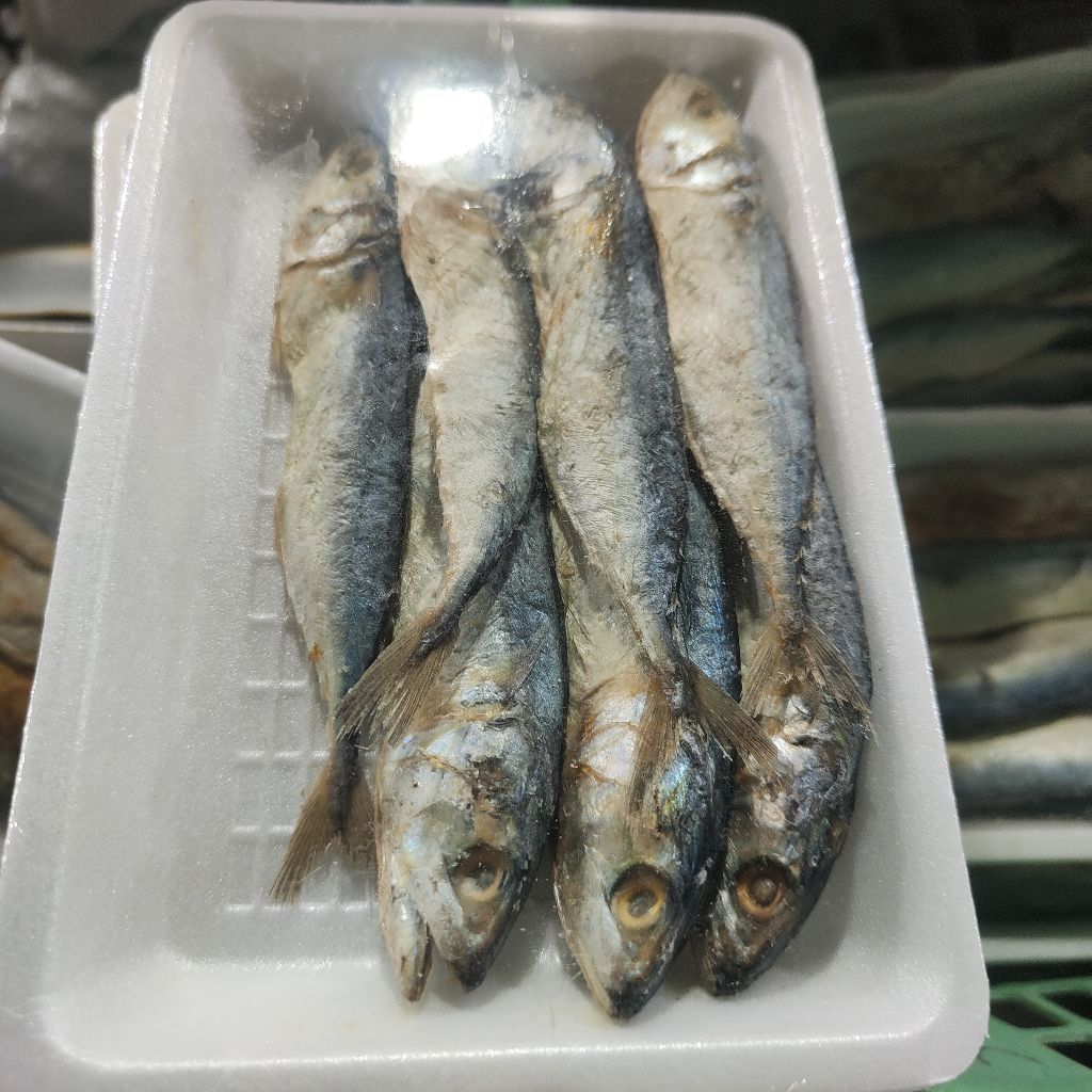 Ikan kering peda kecil perbungkus
