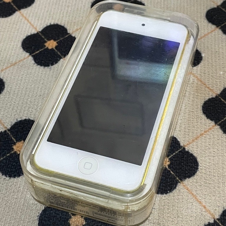 iPod Touch 5th Gen