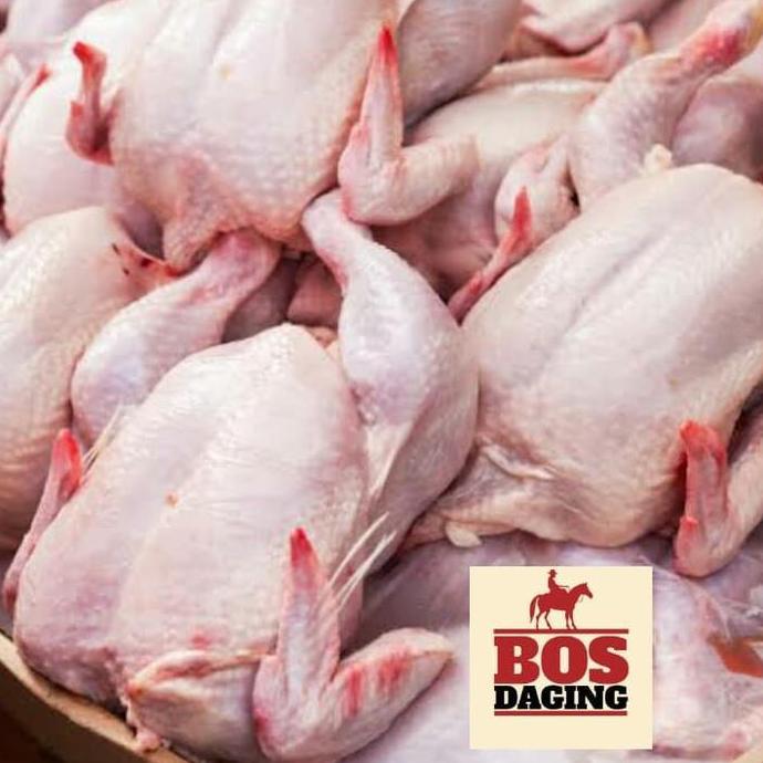 Food- Daging Ayam Broiler Utuh Dijamin Fresh Segar