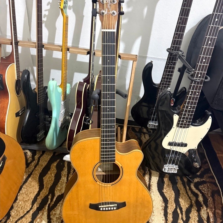 Gitar Akustik Elektrik Tanglewood DBT SFCE