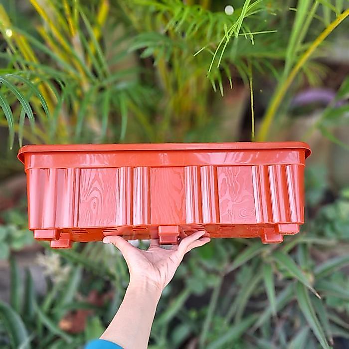 (1pc) POT SS MERANTI SEGI PANJANG 50 (48*17) pot bunga kotak segi panjang murah bagus pot alpen pot