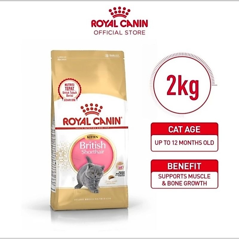 Makanan Kucing Royal Canin British Kitten 2 kg/RC Kitten British 2kg