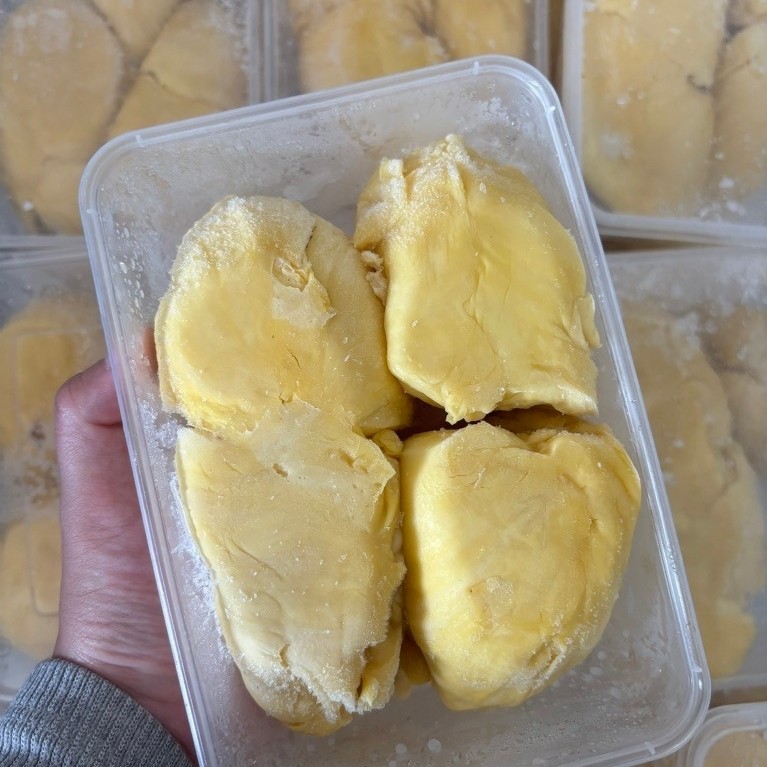 DURIAN MONTONG PALU 500 Gr / DURIAN MONTONG PALU VAKUM / DURIAN MONTONG PREMIUM