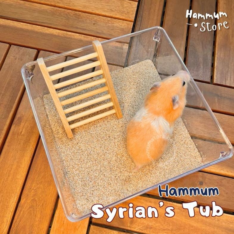 [ AQ ] TOILET SYRIAN Toilet Hamster Syrian | Tempat Mandi Hamster Syrian | Pasir Mandi Hamster Syria