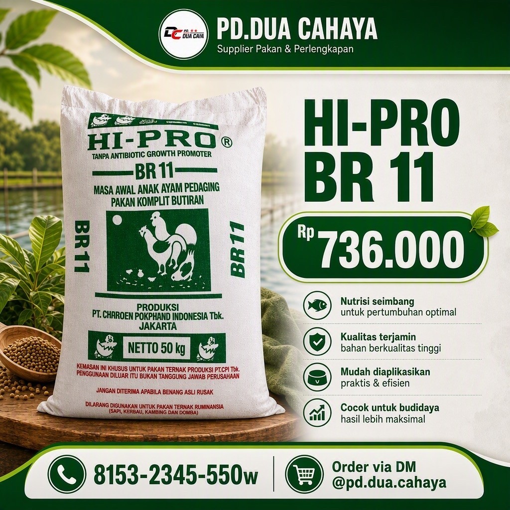 Pakan Ayam BR11 Charoen Pokphand 10 Kg Dewasa