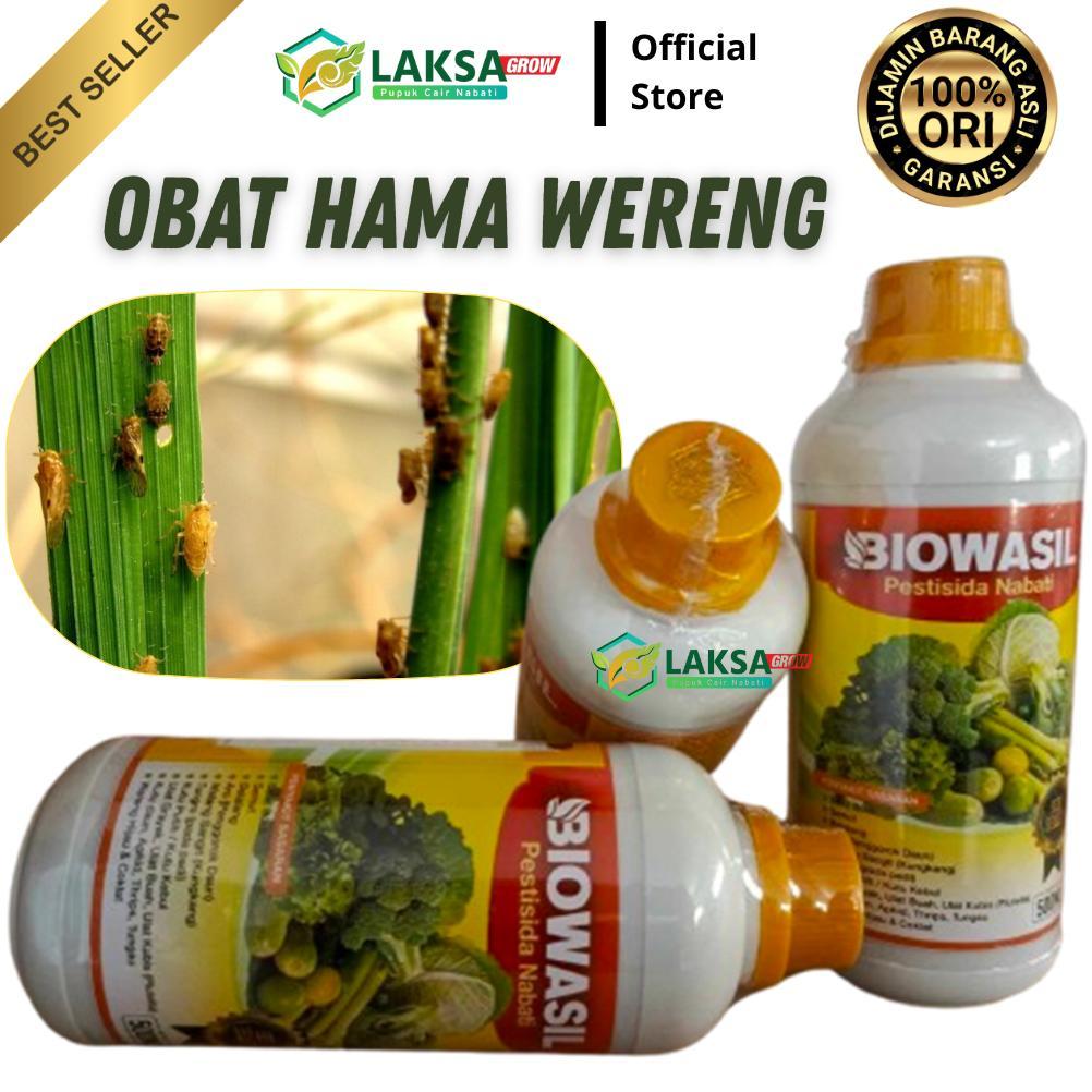 NEW PRODUK BIOWASIL 500ML PESTISIDA ORGANIK OBAT HAMA WERENG COKLAT PADA TANAMAN PADI - OBAT HAMA PA