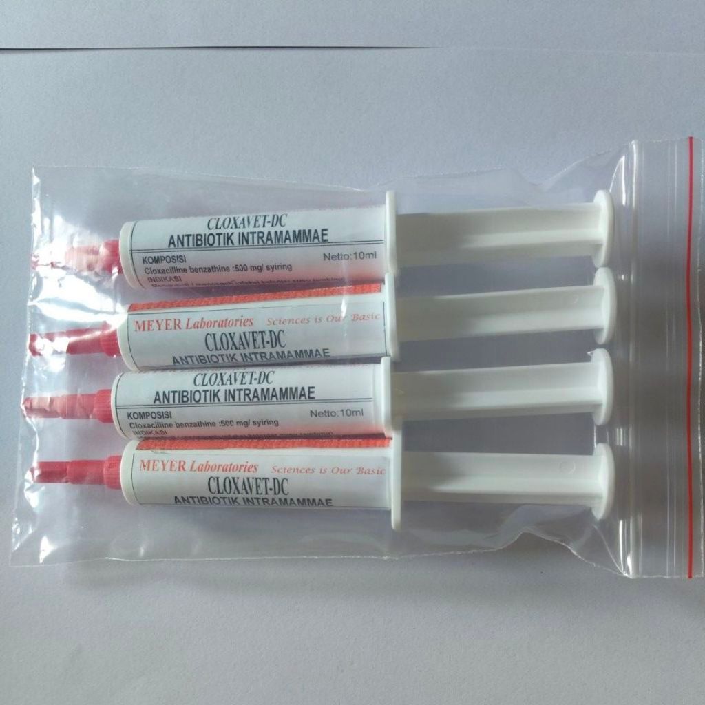 CLOXAVET-DC/Antibiotik Intramamae/obat Mastitis/Kering Kandang untuk Sapi Perah