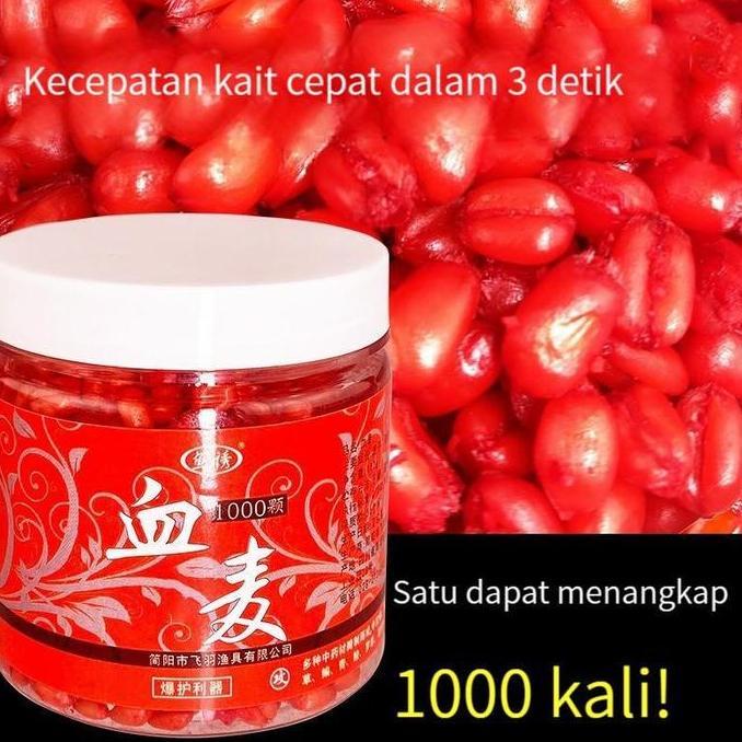 SWWETIYY Umpan Biji Gandum Merah Fermentasi Rasa Darah Asli Super Gacor Cepat Strike Cocok Segala Je