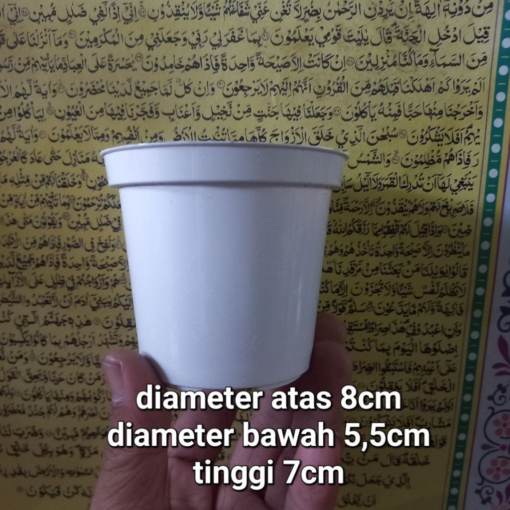 POT PUTIH KECIL 8CM