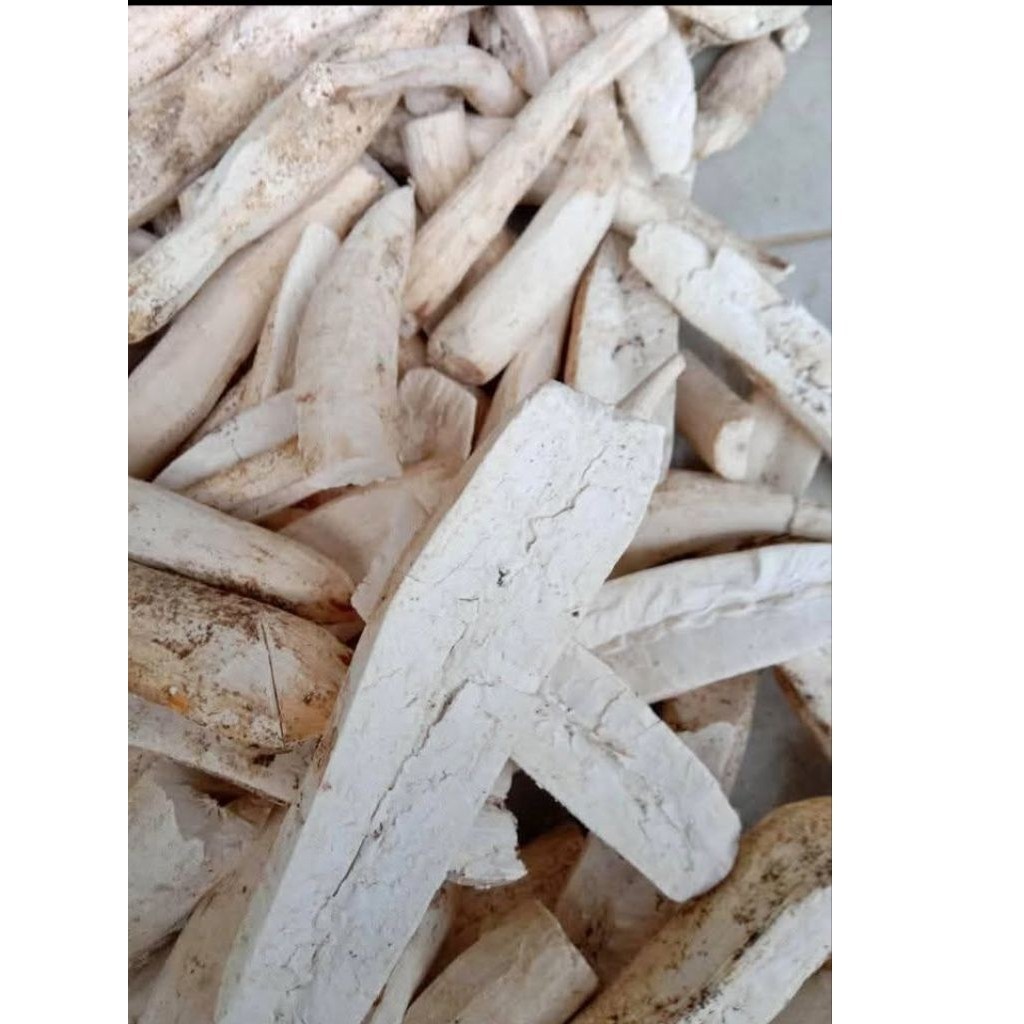 GAPLEK SINGKONG KERING/POHONG GATOT MAKANAN TRADISIONAL 500g