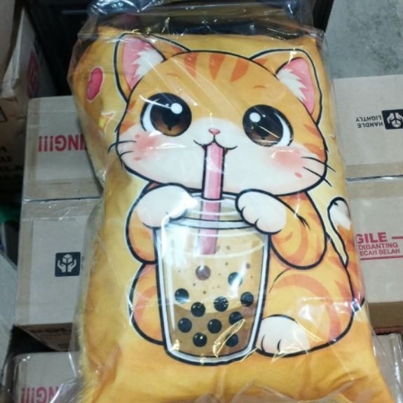 Bantal Bulu Karakter/Bantal Bulu Raspur/Bantal Sofa