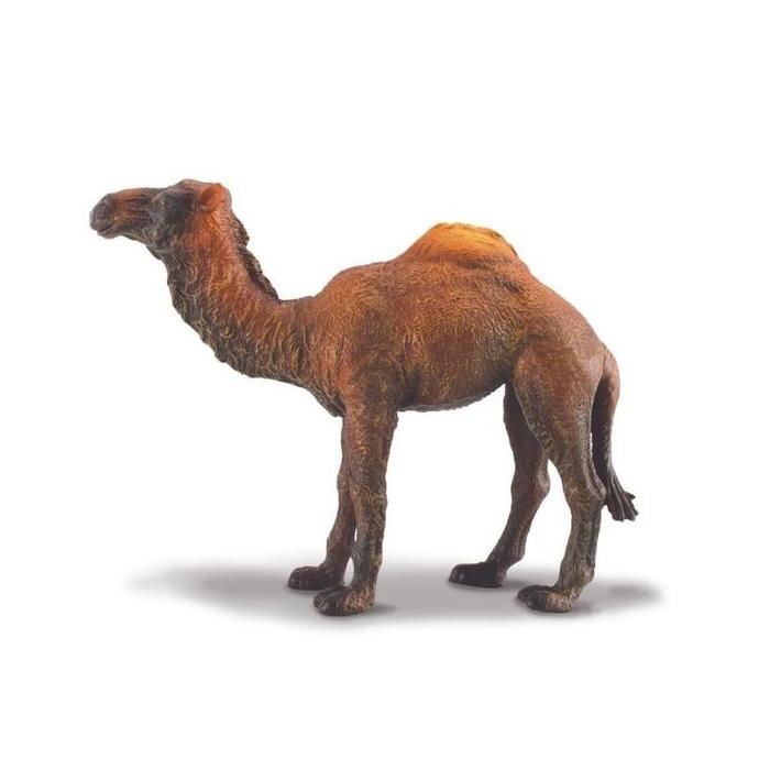Collecta Figure Dromedary Camel 88208